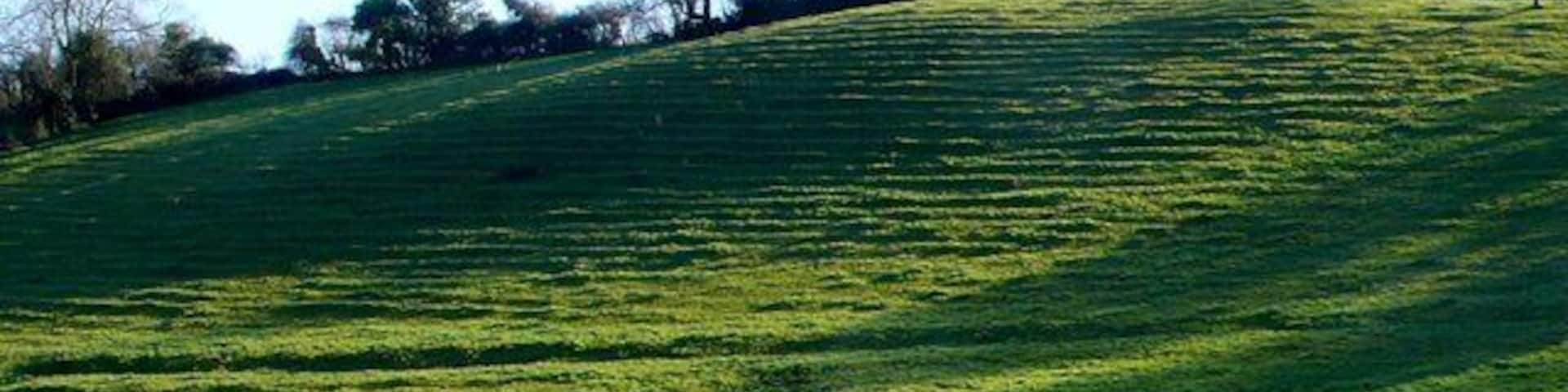 Hilltop Houses near Shipton Gorge These Houses are near St Catherine's Cross close to the road from Shipton Gorge to Burton Bradstock