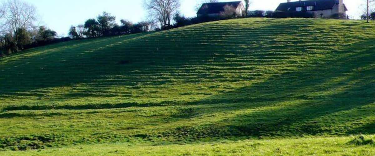 A grassy hill with a house at the top.