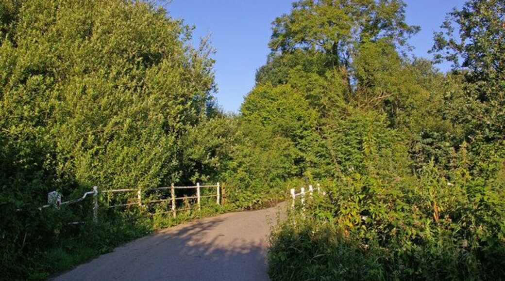 Bridge over River Brit On the lane to Waytown, near Oxbridge.