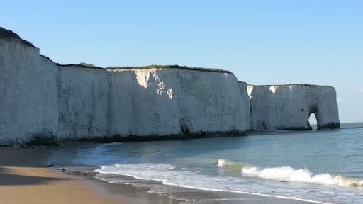 A castle on one end and this beautiful natural formation on the other.
The white cliffs in all of their glory with an arched side and loads of hidden caves when the tide is low.
#LifeAtExpedia #Merch #England #EastCoast #Margate