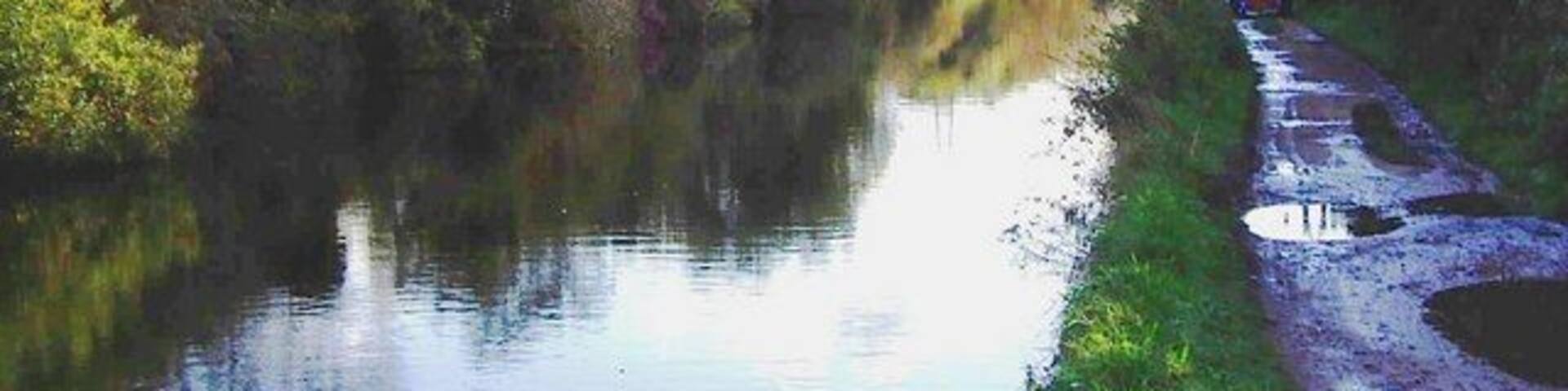 River Lea Navigation, Turnford Marsh Taken just south of King's Weir facing south.