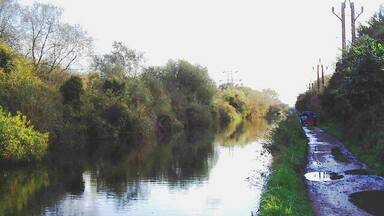 River Lea Navigation, Turnford Marsh Taken just south of King's Weir facing south.