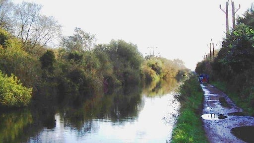 River Lea Navigation, Turnford Marsh Taken just south of King's Weir facing south.