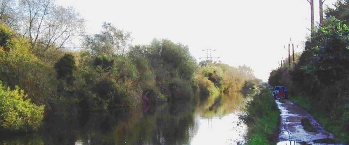 A narrow waterway flanked by dense vegetation and a muddy path.