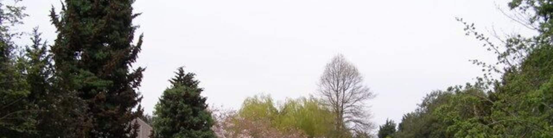 New River The new river is an aqueduct originally built to transfer water from Amwell Springs in Hertfordshire to London.