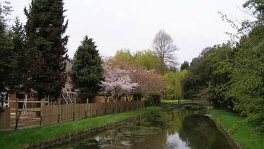 A calm canal with a wooden fence, trees, and a bridge.