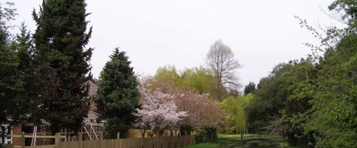 A calm canal with a wooden fence, trees, and a bridge.