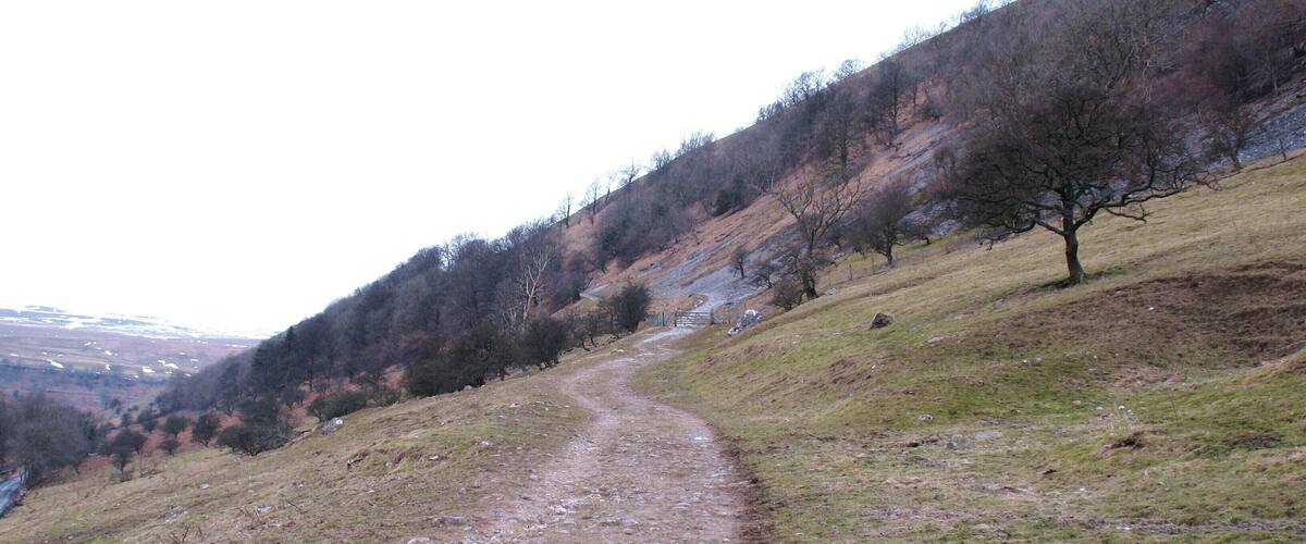 A gravel path winding through a hilly landscape with sparse trees and a distant view of a valley.