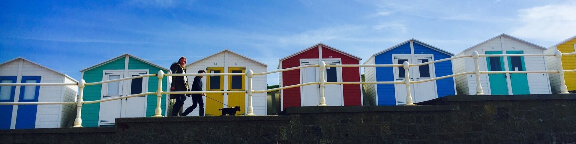 Another colourful dog walk