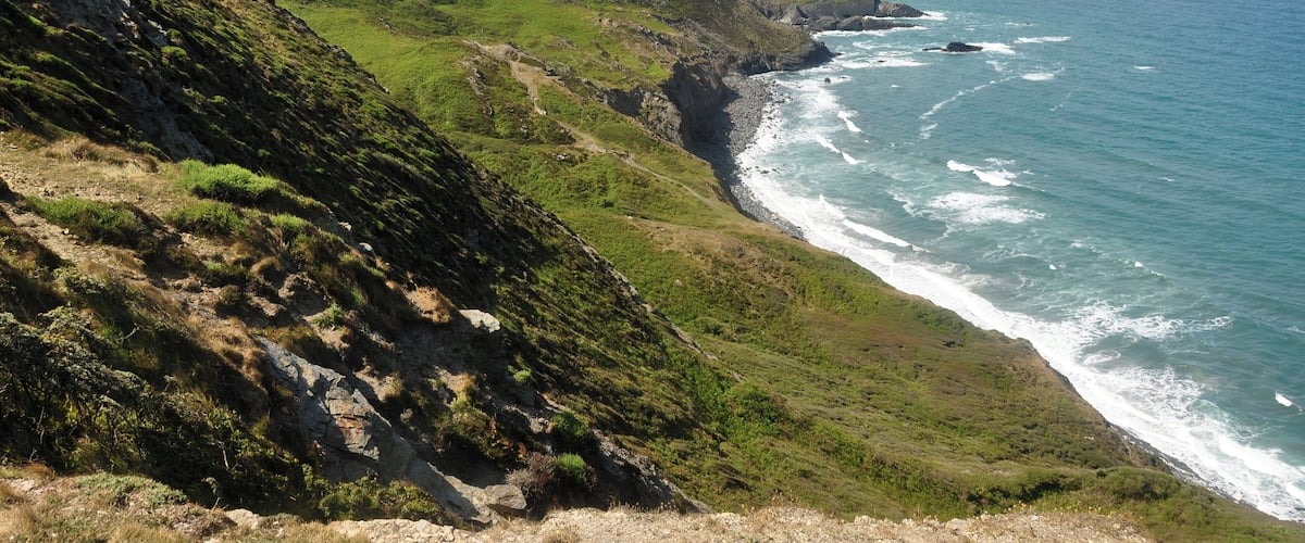 High Cliff, near Crackington Haven in Cornwall. High Cliff (at 223m) is the highest point on the Cornish coast.