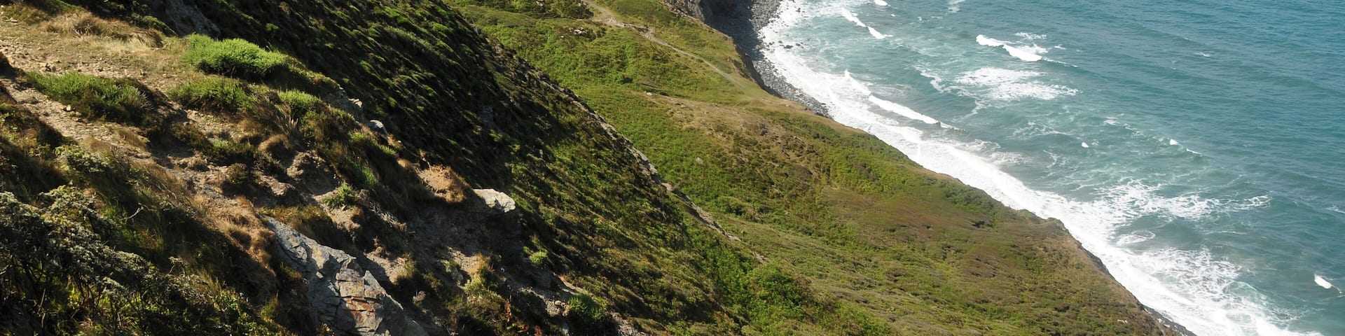 High Cliff, near Crackington Haven in Cornwall. High Cliff (at 223m) is the highest point on the Cornish coast.
