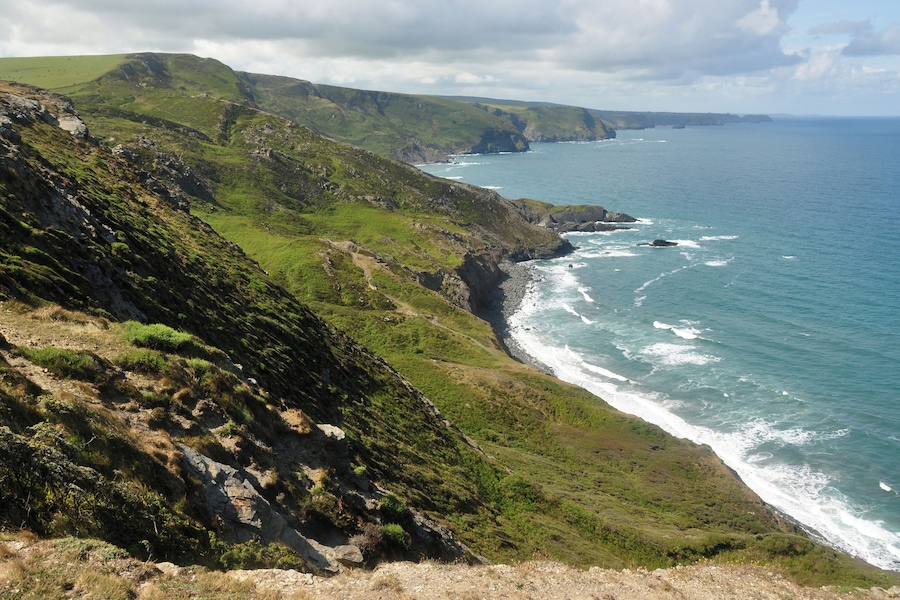 High Cliff, near Crackington Haven in Cornwall. High Cliff (at 223m) is the highest point on the Cornish coast.
