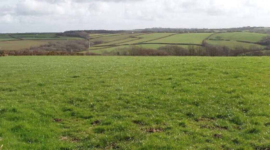Fields by Trefrida View from bend in road.