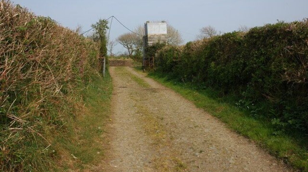 Track near Barn Farm, Kilkhampton