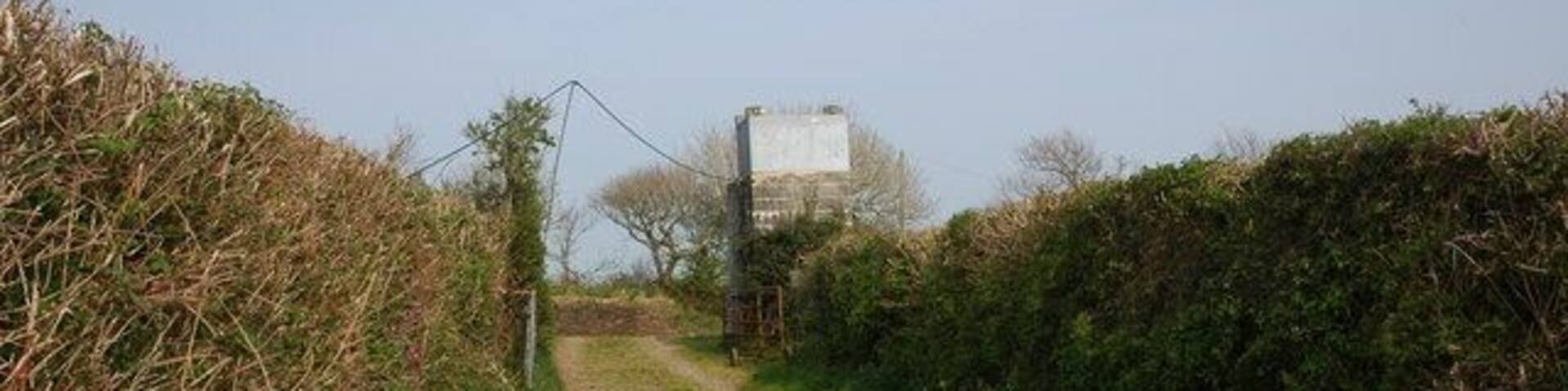 Track near Barn Farm, Kilkhampton