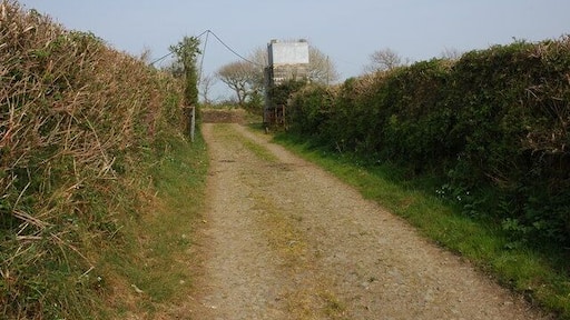 Track near Barn Farm, Kilkhampton