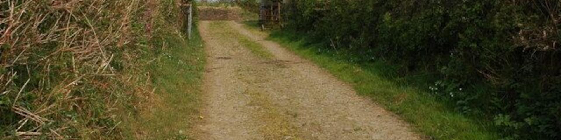 Track near Barn Farm, Kilkhampton