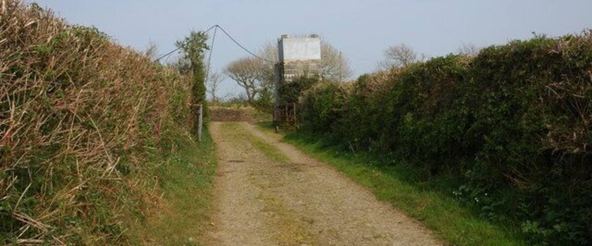 A rural dirt path flanked by dense hedges and a utility pole.