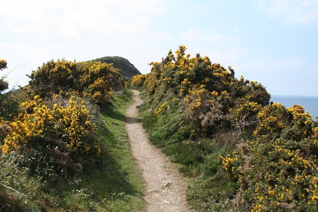 St Gennys: towards Castle Point On the South West Coast Path on a ridge near Thorns Beach
