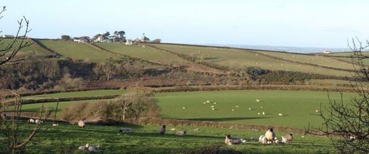 A rural landscape with rolling hills, green fields, and scattered sheep.