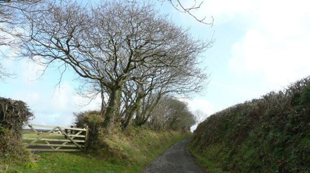 Deep-set lane This public byway takes the traveller directly from Gooseham to Eastcott and Hackmarsh.