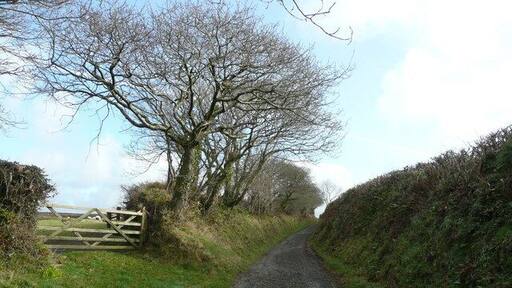 Deep-set lane This public byway takes the traveller directly from Gooseham to Eastcott and Hackmarsh.