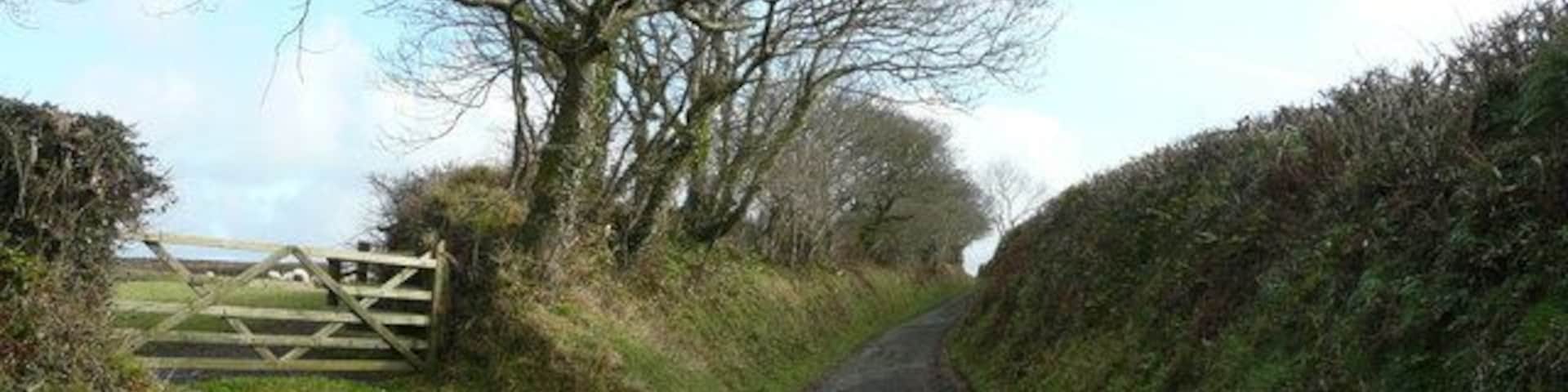 Deep-set lane This public byway takes the traveller directly from Gooseham to Eastcott and Hackmarsh.