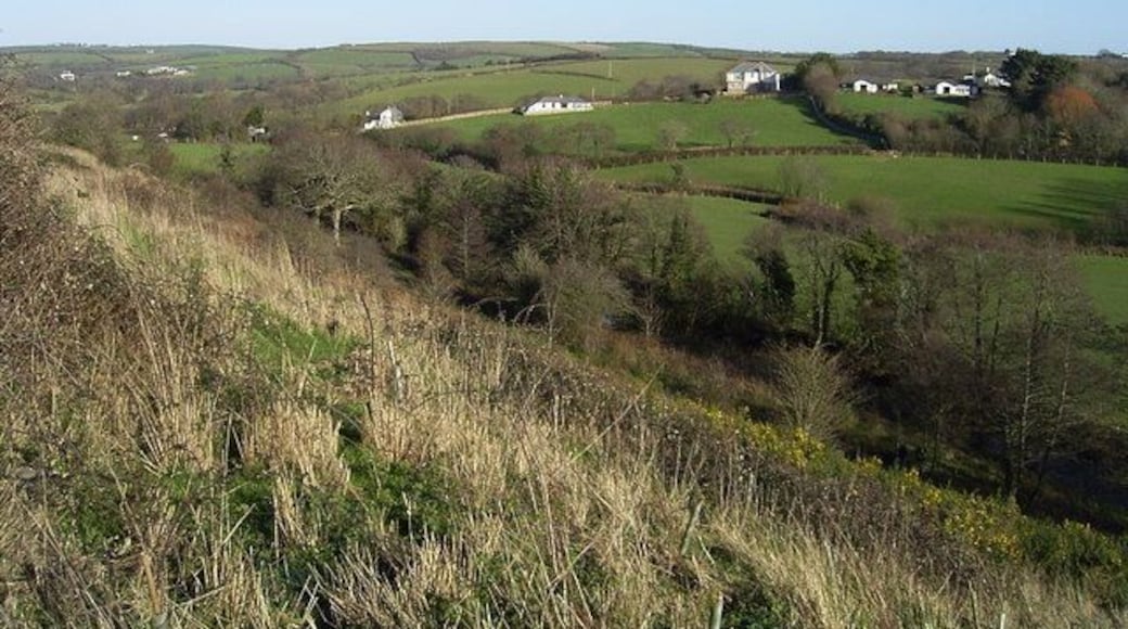 Pinch Hill, Marhamchurch Looking south east towards pinch hill from the Hele Valley Trail. The river Strat lies below in the valley. The Hele Valley trail is 2 footpaths within an area of newly planted woodland, there's also a Geocache nearby.