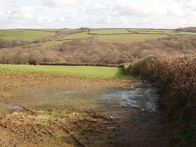 A muddy stream with a grassy bank and rolling hills in the background.