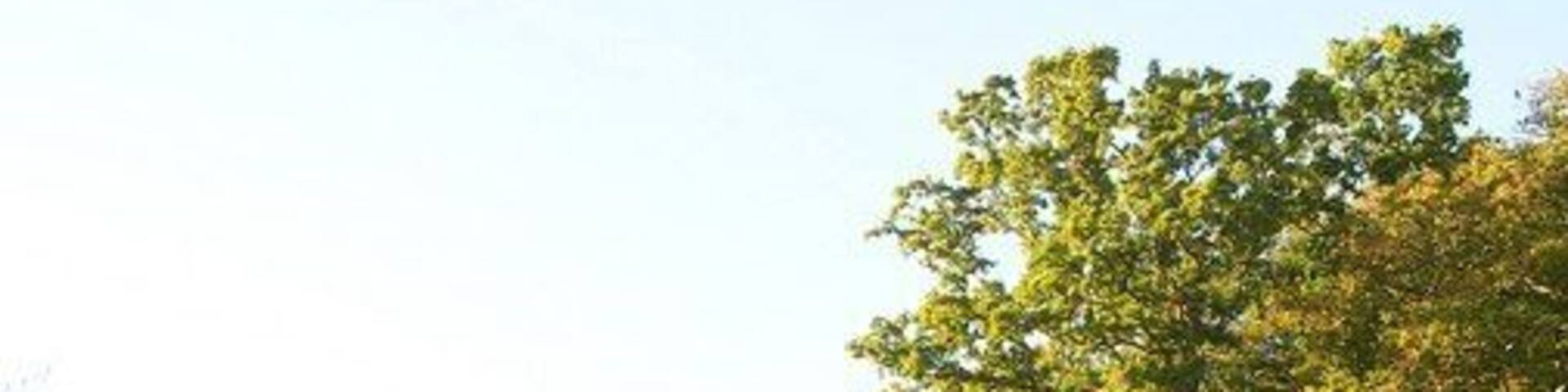Barns near Burley. Another view of 1545483, approached here by Burley Footpath 2 from Moorhill Road, with the trees shown in 1545484 in the background.