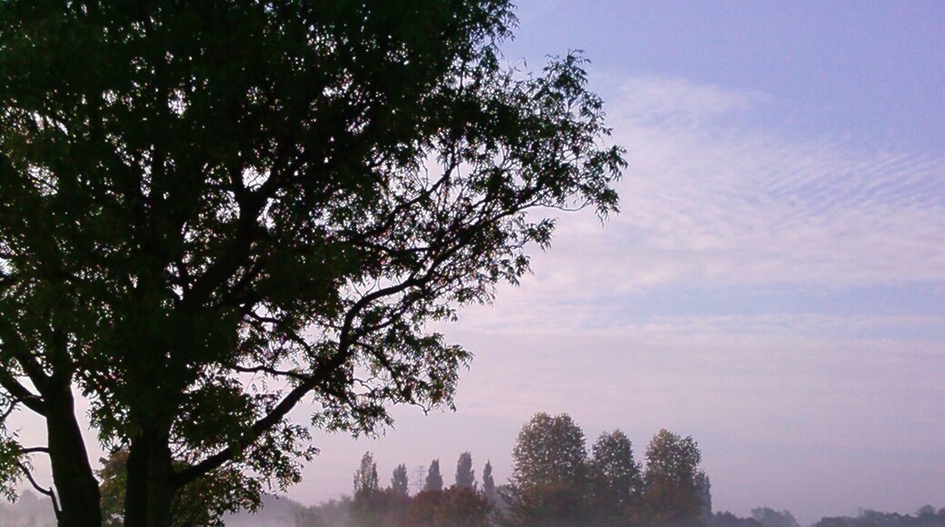 Putting on the 7th green, 9 hole PETER ALLIS course BRANSTON GOLF & COUNTRY CLUB.