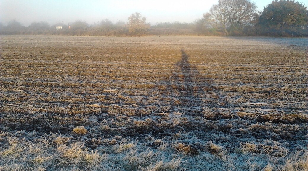 LONG MORNING SHADOW, MOUNTAIN BIKING.