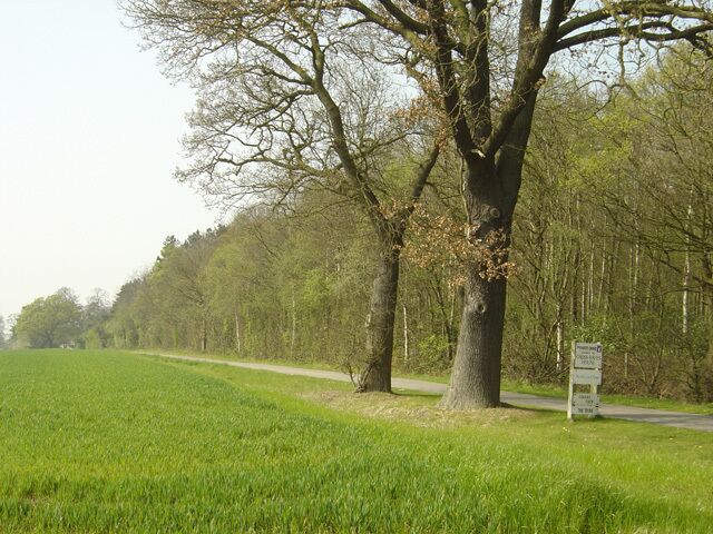 Nicholl's Covert and the drive to Cross Hayes House