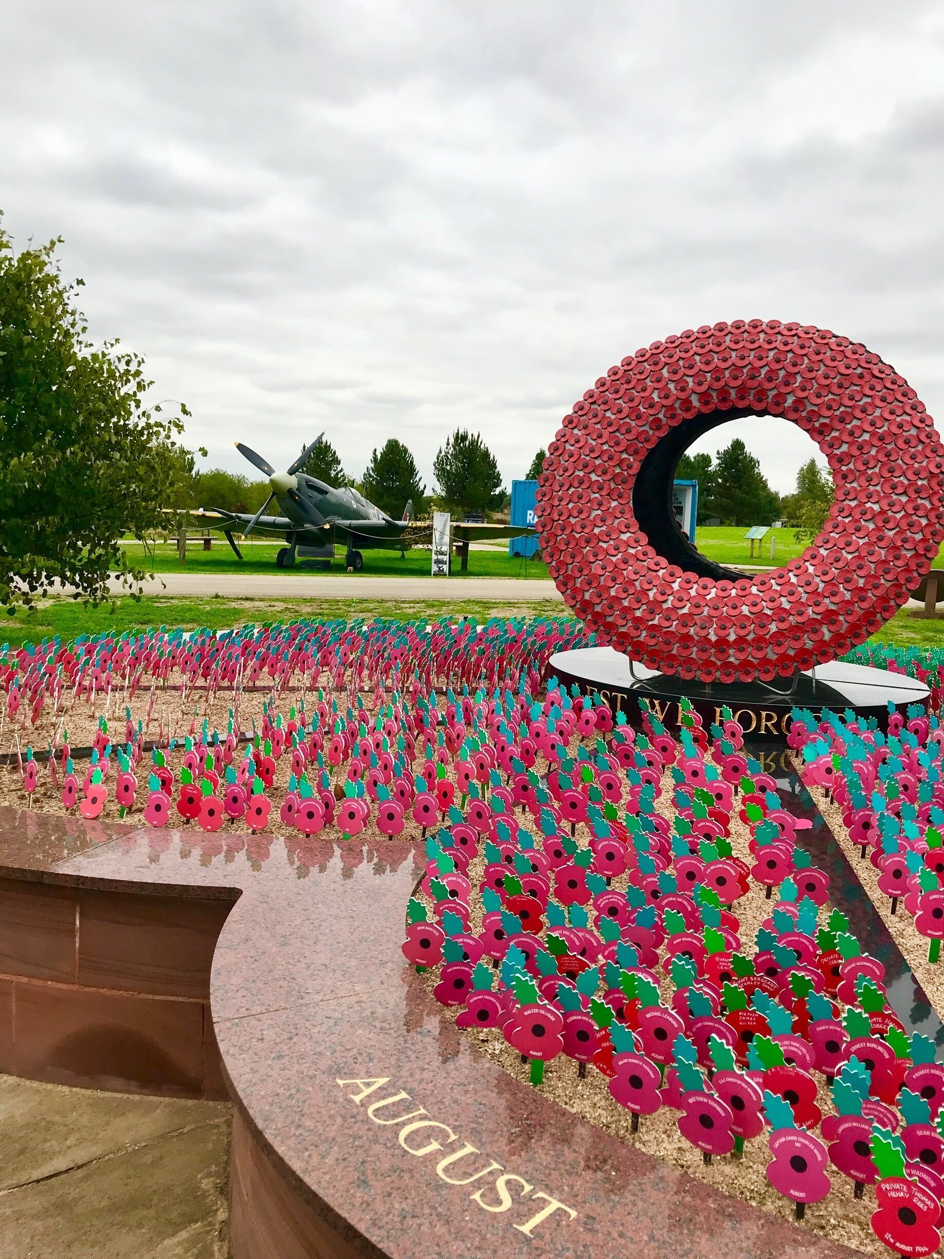 A poppy field with a large circular sculpture and an airplane in the background.