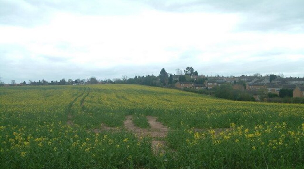 Eastern Edge of Winshill