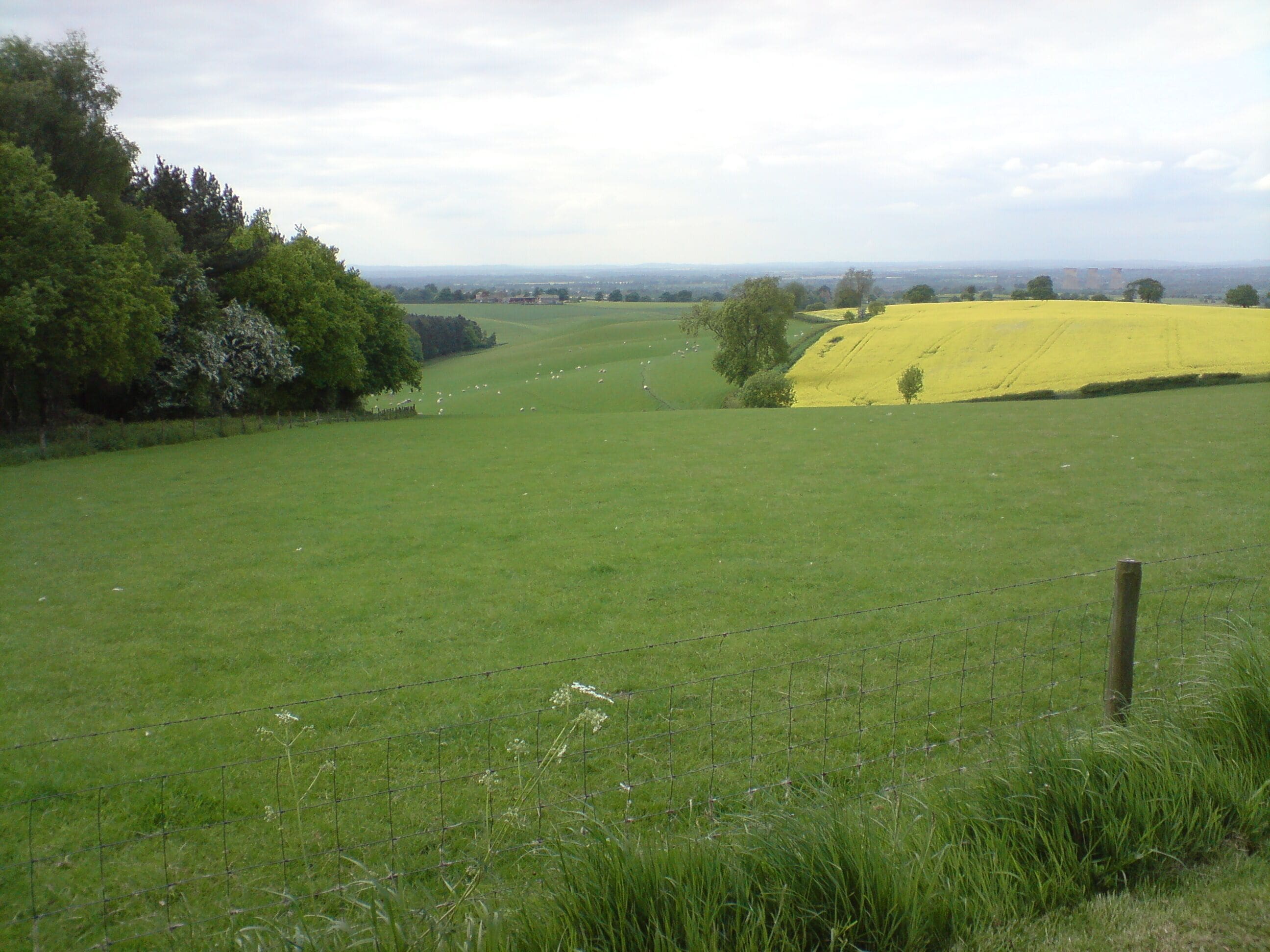 View towards Repton down back edge of shrubs