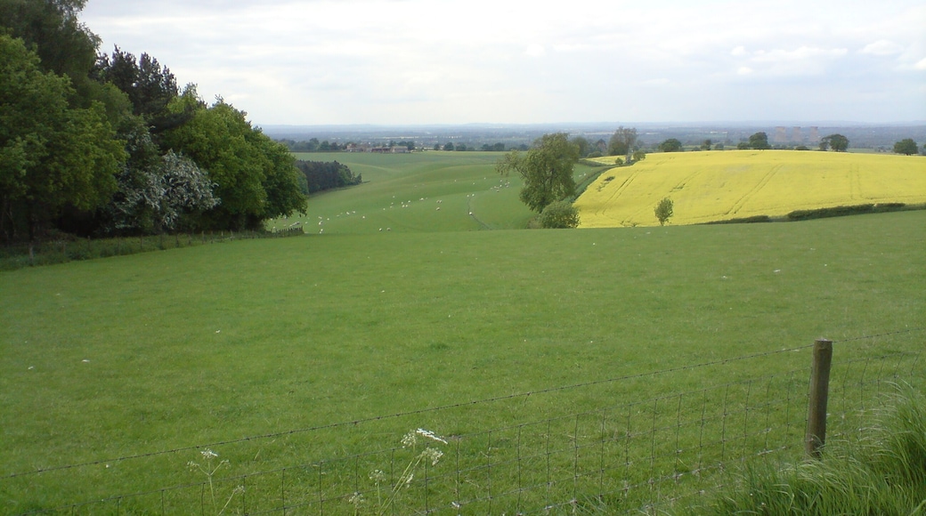 View towards Repton down back edge of shrubs