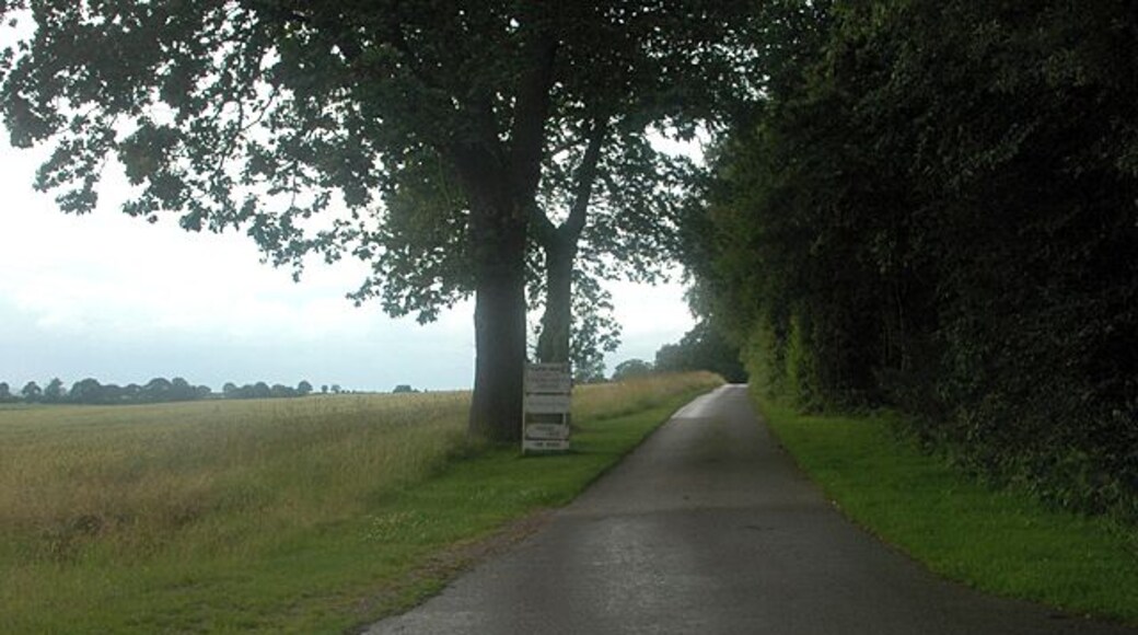 Private drive to Cross Hayes House