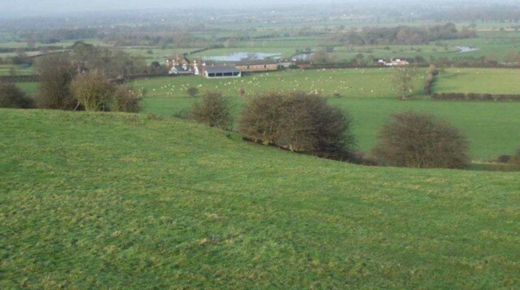 Fauld Hall From Stonepit Hills