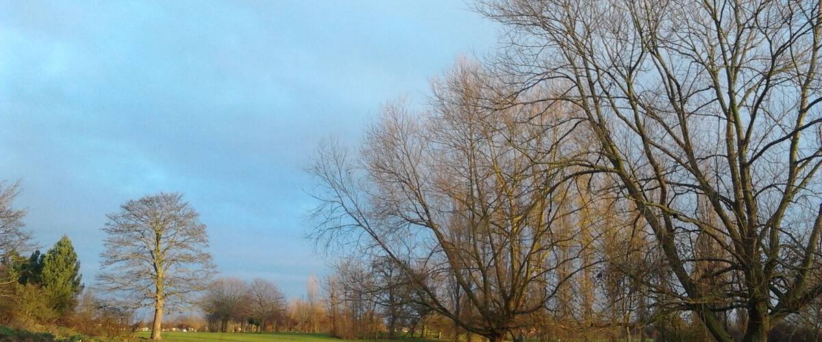 A calm pond surrounded by trees and grassy fields.
