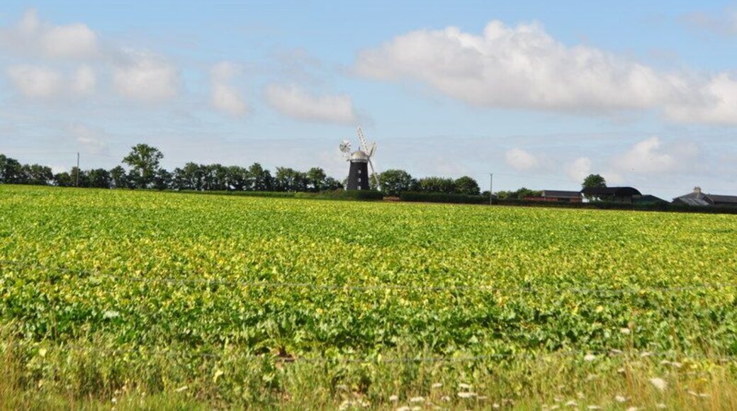 Pakenham Tower Mill, near to Ixworth, Suffolk, Great Britain. Pakenham Mill was built in 1831, Clement Goodrich was the miller in 1846, when he took on an apprentice. The mill came into the ownership of the Bryant family in 1885. A steam engine was used as auxiliary power, in 1947 the mill was nearly tail-winded. The mill was restored in 1950, with a new weatherbeam fitted by Amos Clarke, the Ipswich millwright. At this time the swing-pot neck bearing from Buxhall mill was installed. A second-hand stock from Thurston post mill was fitted at this time and a gallery constructed around the cap. The gallery was based on that at Wendover mill, Buckinghamshire. New sails were also fitted. Further restoration took place in 1961, aided by grants from Suffolk County Council, the Ministry of Works. The work was conditional on the Bryant family continuing to work the mill. The restoration work was carried out by R Thompson & Sons Ltd, millwrights of Alford, Lincolnshire. The copper covered cap was rebuilt and clad in aluminium for maintenance reasons. A new stock and two new sails were made, and the fantail rebuilt. The mill was struck by lightning in June 1971, a stock being split and a sail damaged. The sack chain saved the mill from being burnt down by giving a route for the lightning to earth. When the mill was repaired a lightning conductor was added. The most recent restoration of Pakenham windmill was completed in May 2000. The �60,000 cost of the work was 80% funded by the Heritage Lottery Fund. The work was carried out by Thompson's of Alford. Pakenham is unusual in having both a working water and windmill, although the windmill isn't producing flour activly like the watermill.