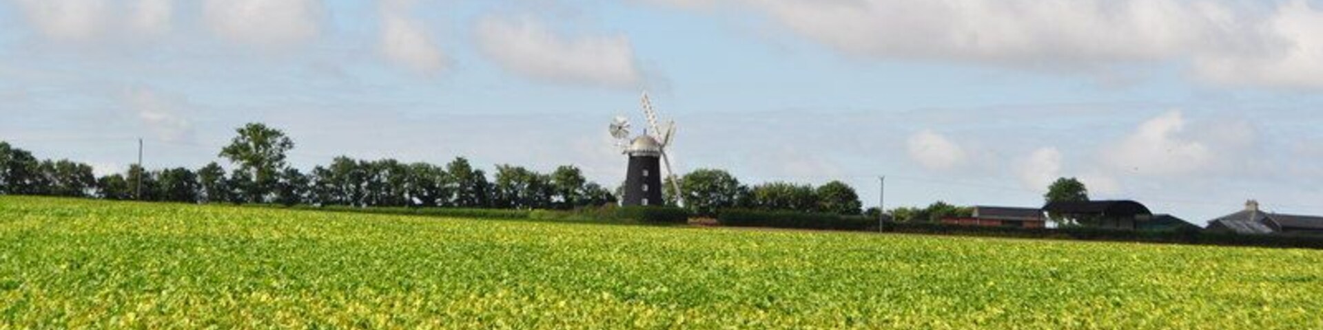 Pakenham Tower Mill, near to Ixworth, Suffolk, Great Britain. Pakenham Mill was built in 1831, Clement Goodrich was the miller in 1846, when he took on an apprentice. The mill came into the ownership of the Bryant family in 1885. A steam engine was used as auxiliary power, in 1947 the mill was nearly tail-winded. The mill was restored in 1950, with a new weatherbeam fitted by Amos Clarke, the Ipswich millwright. At this time the swing-pot neck bearing from Buxhall mill was installed. A second-hand stock from Thurston post mill was fitted at this time and a gallery constructed around the cap. The gallery was based on that at Wendover mill, Buckinghamshire. New sails were also fitted. Further restoration took place in 1961, aided by grants from Suffolk County Council, the Ministry of Works. The work was conditional on the Bryant family continuing to work the mill. The restoration work was carried out by R Thompson & Sons Ltd, millwrights of Alford, Lincolnshire. The copper covered cap was rebuilt and clad in aluminium for maintenance reasons. A new stock and two new sails were made, and the fantail rebuilt. The mill was struck by lightning in June 1971, a stock being split and a sail damaged. The sack chain saved the mill from being burnt down by giving a route for the lightning to earth. When the mill was repaired a lightning conductor was added. The most recent restoration of Pakenham windmill was completed in May 2000. The �60,000 cost of the work was 80% funded by the Heritage Lottery Fund. The work was carried out by Thompson's of Alford. Pakenham is unusual in having both a working water and windmill, although the windmill isn't producing flour activly like the watermill.