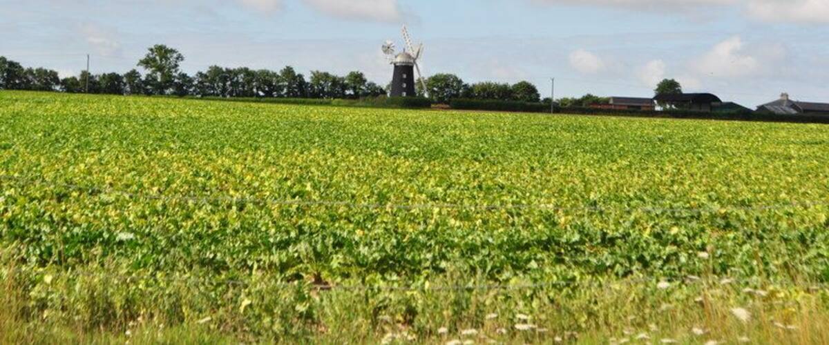 A windmill in a field with a clear sky.