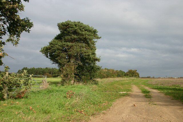 Farm track near Worlington This unnamed track leads north from the minor road between Worlington and Isleham.