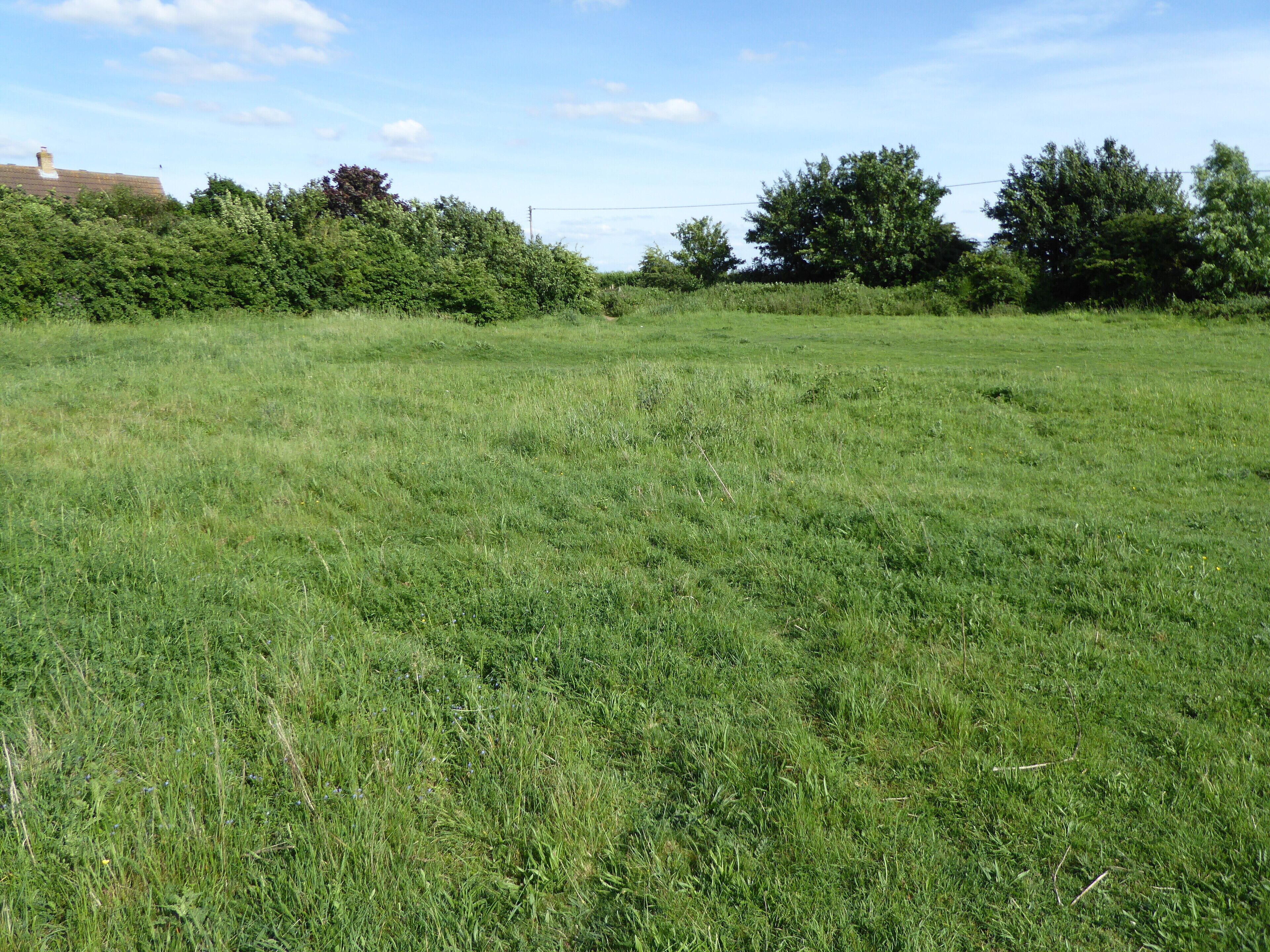 Aspal Close is a Local Nature Reserve in Beck Row in Suffolk.
