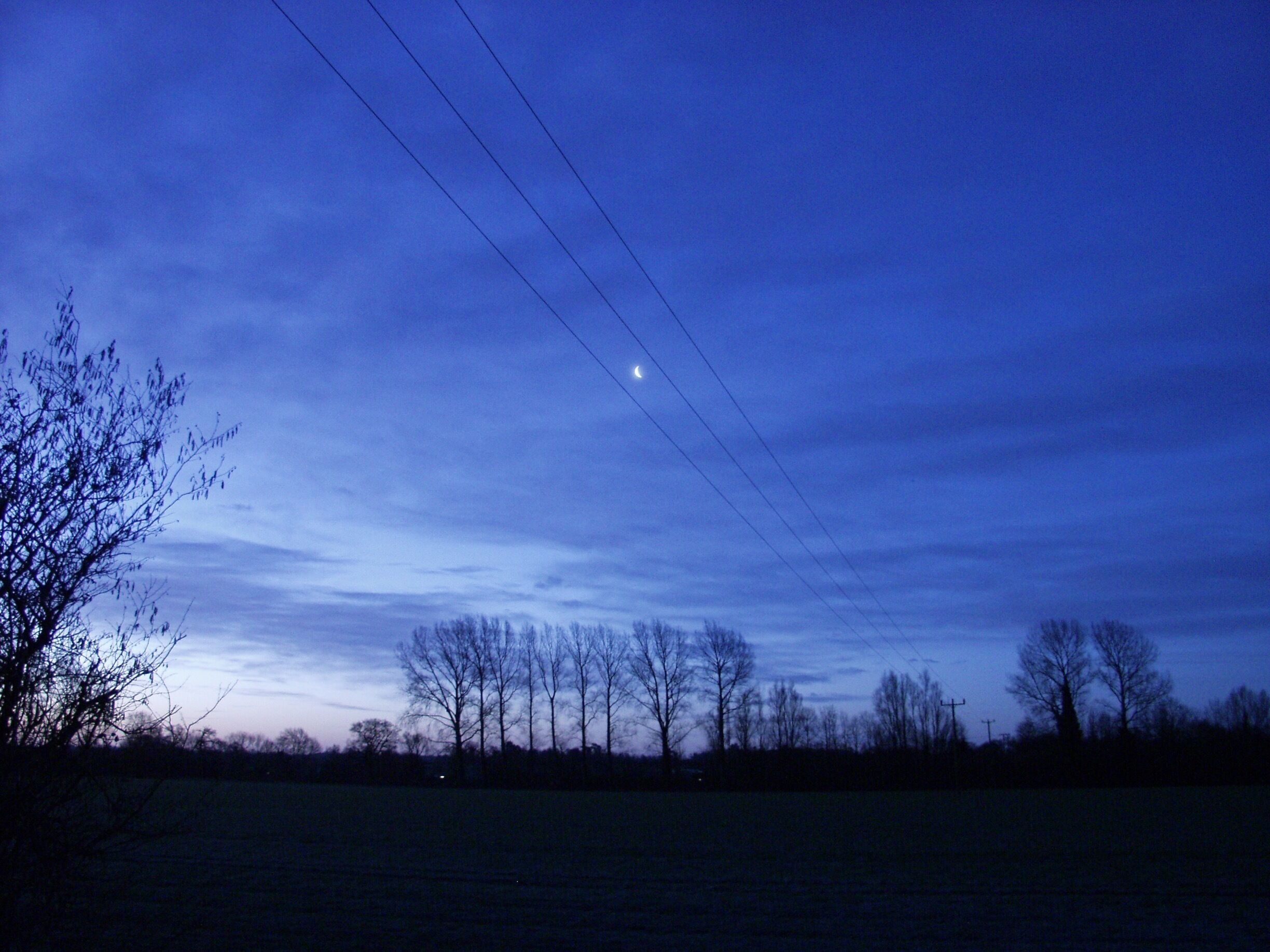 A twilight sky with a crescent moon, power lines, and leafless trees in a field.