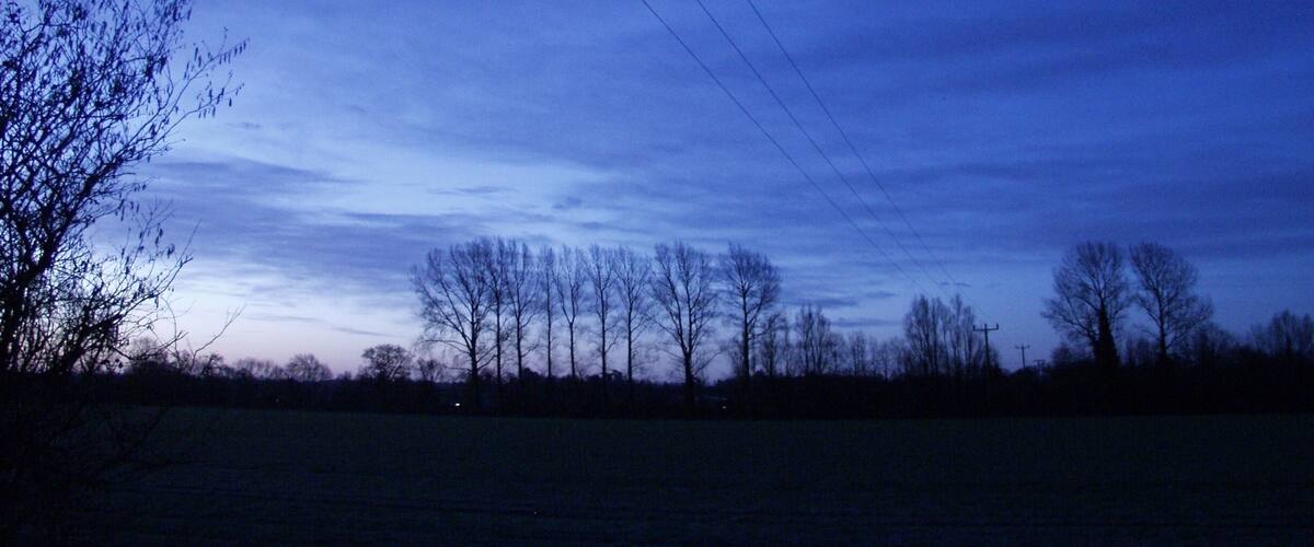 A twilight sky with a crescent moon, power lines, and leafless trees in a field.