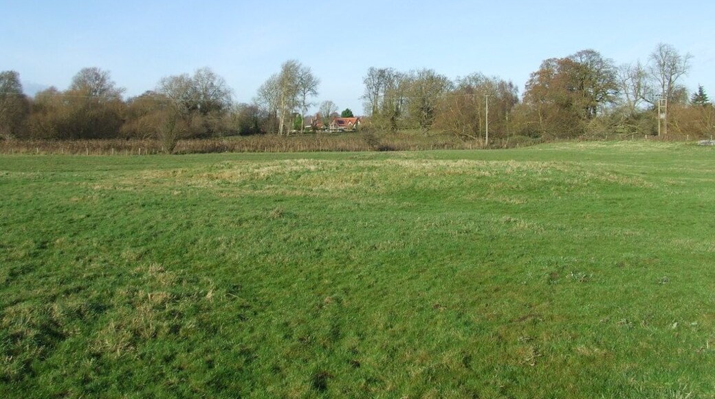 Meadow next to the river Lark near to Icklingham. The mounds in the grass are part of the remains of the civil war earthworks.