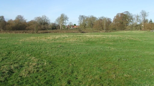 Meadow next to the river Lark near to Icklingham. The mounds in the grass are part of the remains of the civil war earthworks.