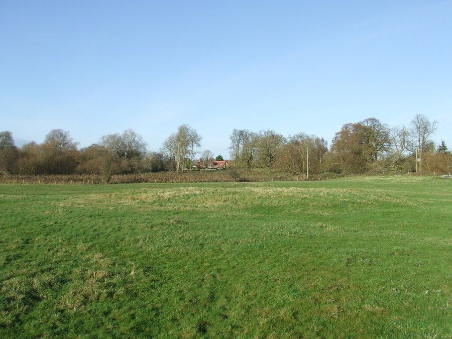 Meadow next to the river Lark near to Icklingham. The mounds in the grass are part of the remains of the civil war earthworks.